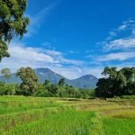 ricefields and mountain - village idyll Belulang