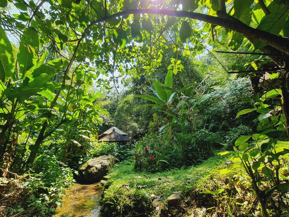 cold spring and mountain river bali