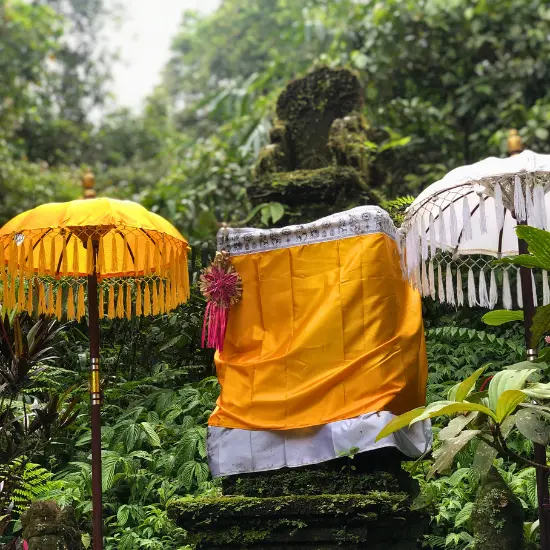 jungle temple bali