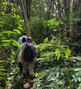 hidden nature trails - adventure at mount batukaru