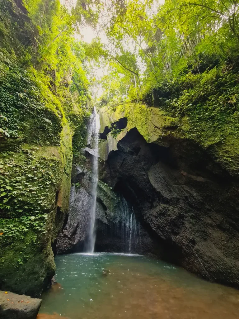 bali waterfall and nature