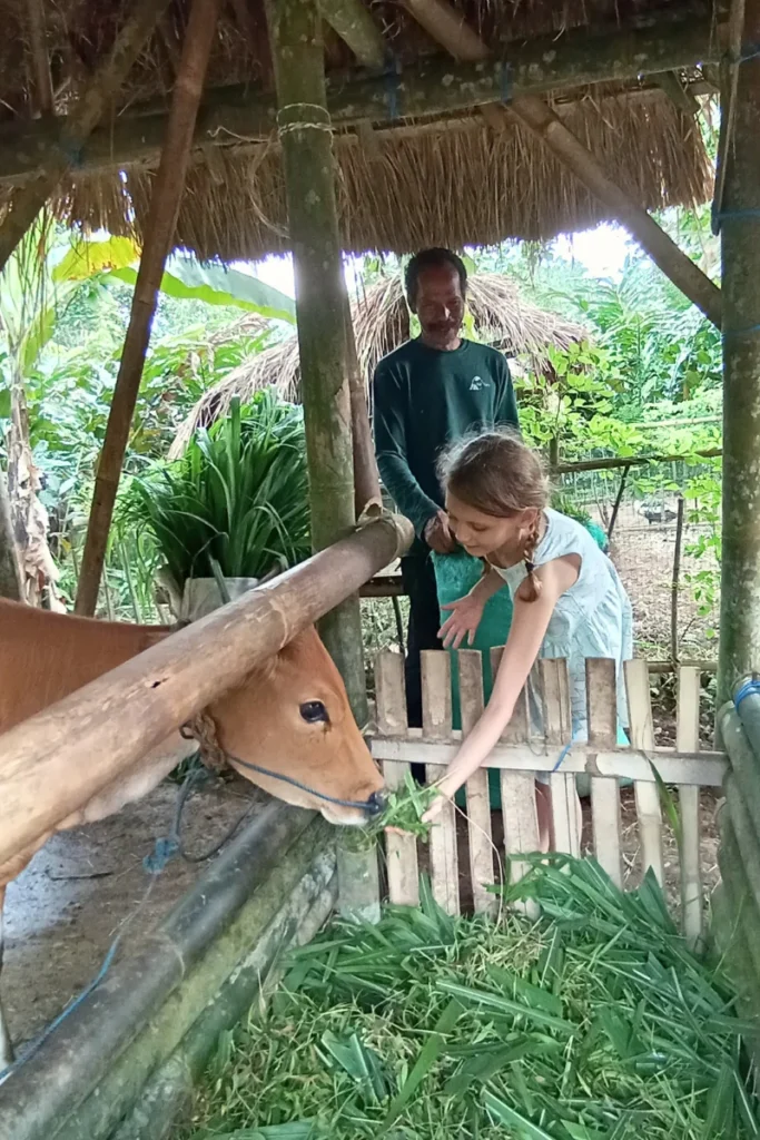 balikaru farm and village experience on bali